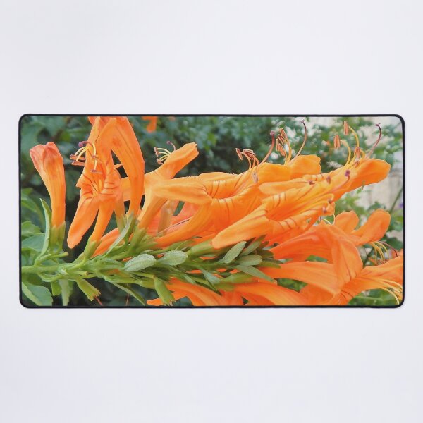A splash of orange to brighten the day Desk Mat