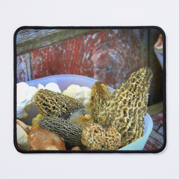 Item preview, The Morel of the Story... designed and sold by Cat Calhoun.