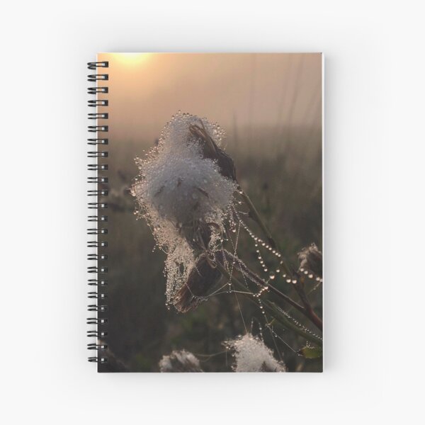 Close-up of frozen thistle in sunrise Spiral Notebook