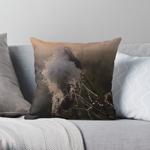Close-up of frozen thistle in sunrise Throw Pillow