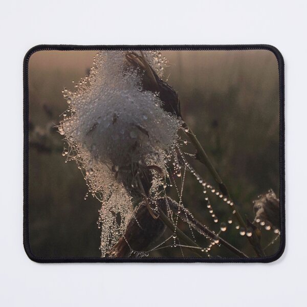 Close-up of frozen thistle in sunrise Mouse Pad