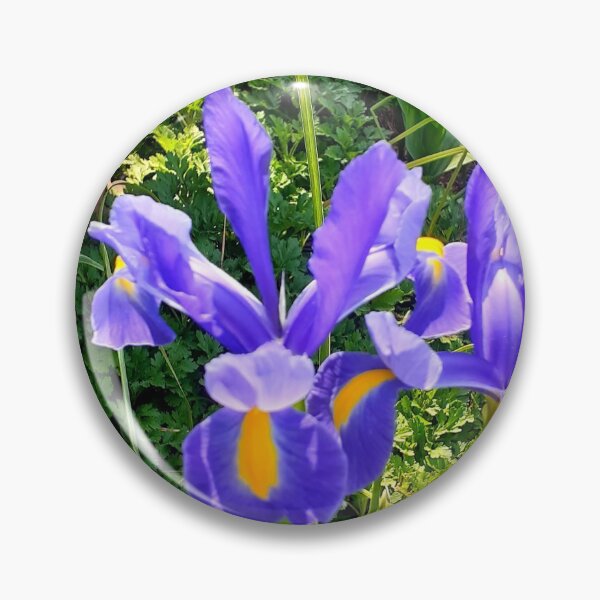 Artikelvorschau, Lila Iris entworfen und verkauft von Jaroffaith.