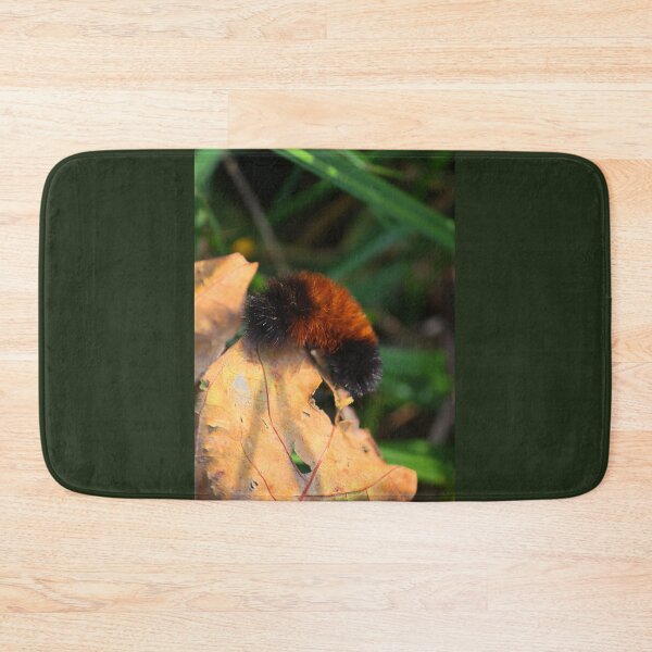 Item preview, From a Bear to a Tiger! designed and sold by chstudios.