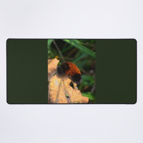 Item preview, From a Bear to a Tiger! designed and sold by chstudios.