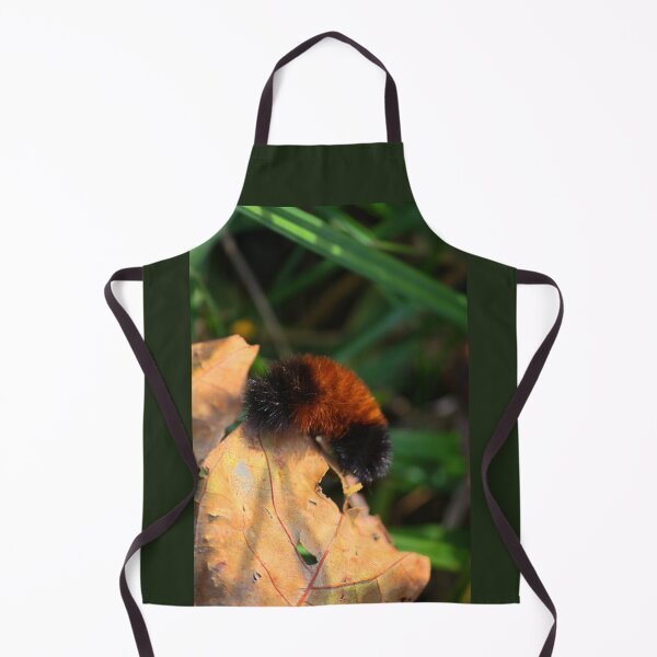 Item preview, From a Bear to a Tiger! designed and sold by chstudios.