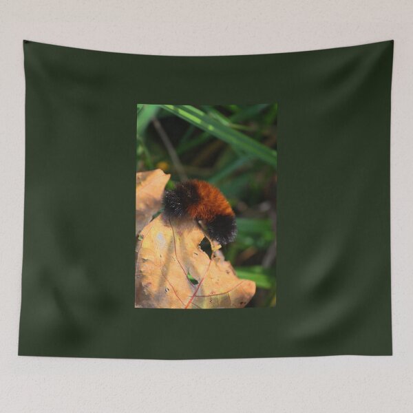 Item preview, From a Bear to a Tiger! designed and sold by chstudios.
