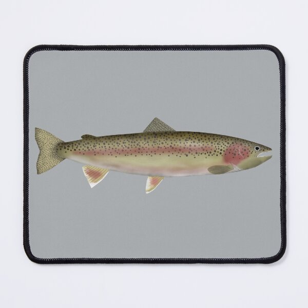 Item preview, Steelhead - Spawning Phase designed and sold by fishfolkart.