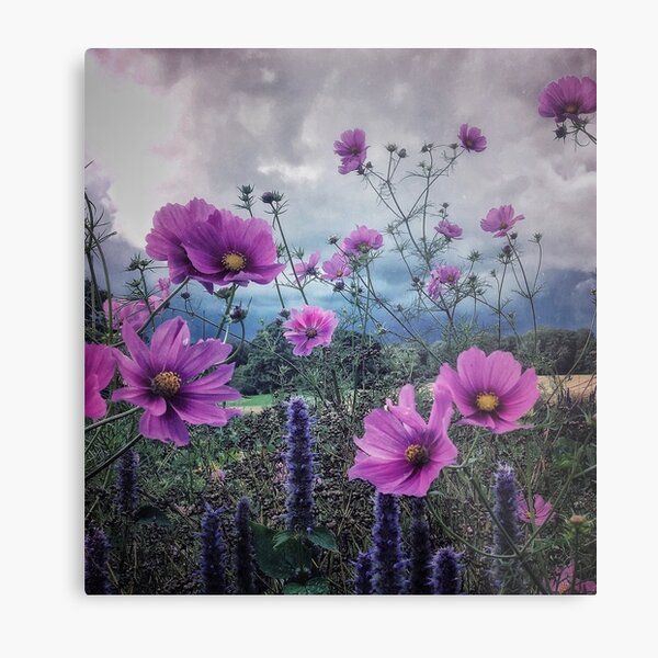 Take me to the forest Metal Print