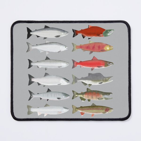 Artikelvorschau, Pazifische Lachsgruppe – Ozean und Laichphase entworfen und verkauft von fishfolkart.