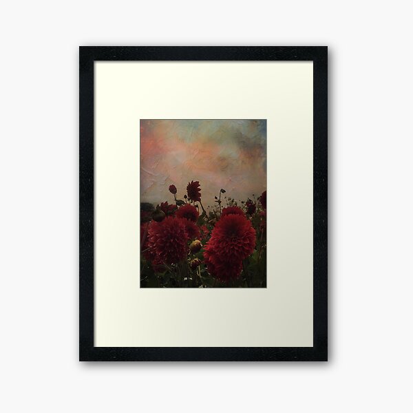 My kingdom for a red flower in the sunset Framed Art Print