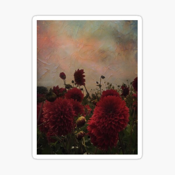 My kingdom for a red flower in the sunset Sticker