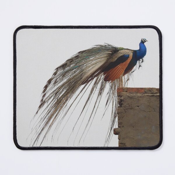 Item preview, peacock photograph designed and sold by PINKI MEENA.