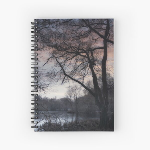 Not a sound to be heard, not a soul in sight Spiral Notebook