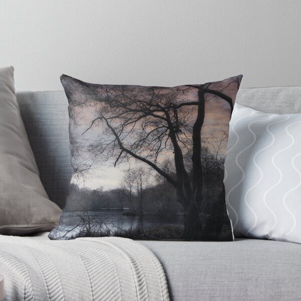 Not a sound to be heard, not a soul in sight Throw Pillow