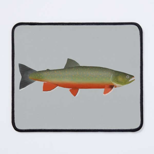 Item preview, Dolly Varden Trout designed and sold by fishfolkart.