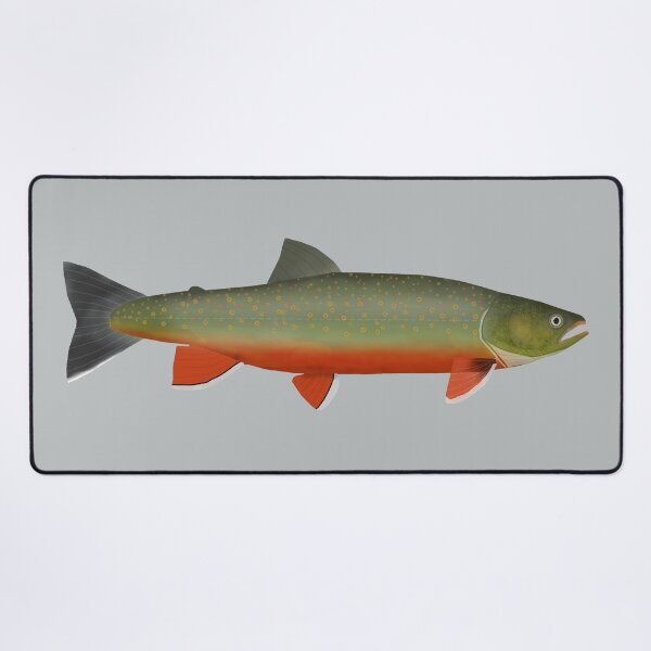 Item preview, Dolly Varden Trout designed and sold by fishfolkart.