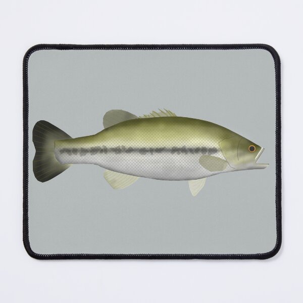Item preview, Largemouth Bass designed and sold by fishfolkart.