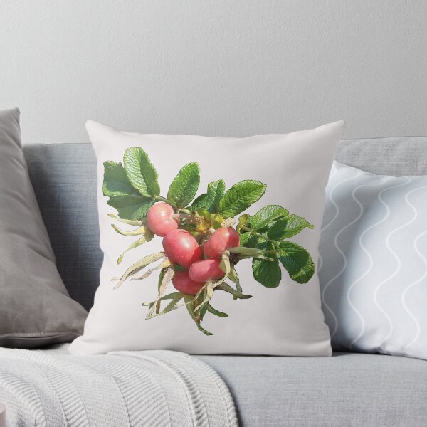 Item preview, Rose Hips, Fruits of the Rose Plants designed and sold by leafytrailshop.