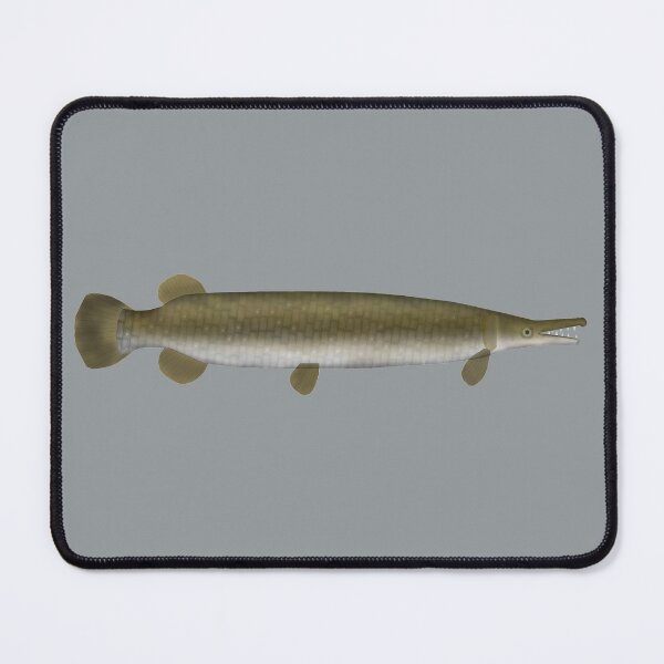 Item preview, Alligator Gar designed and sold by fishfolkart.