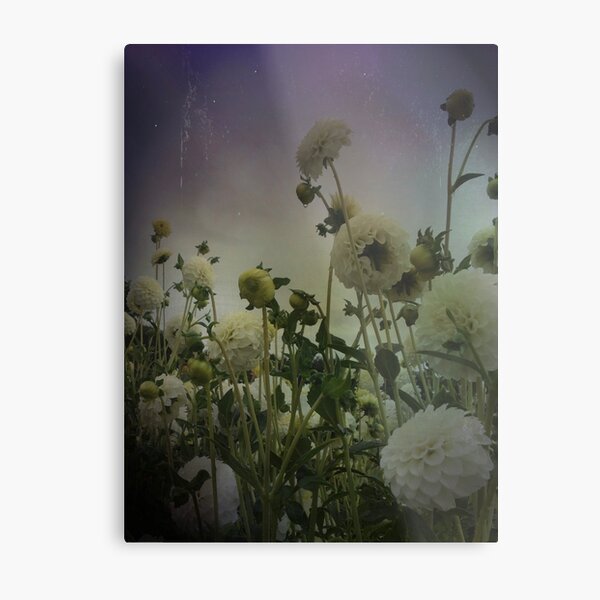 The white flowers of Midgard Metal Print