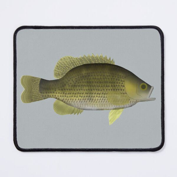 Item preview, Rock Bass designed and sold by fishfolkart.