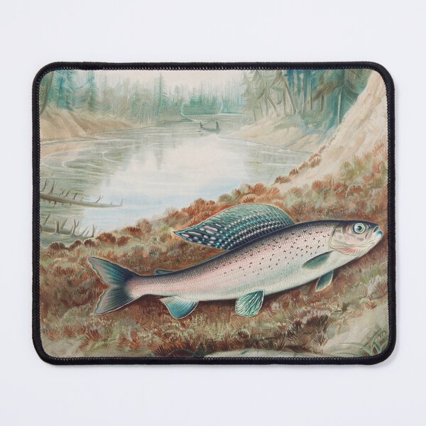 Item preview, Arctic Grayling by Samuel Kilbourne designed and sold by themkat.