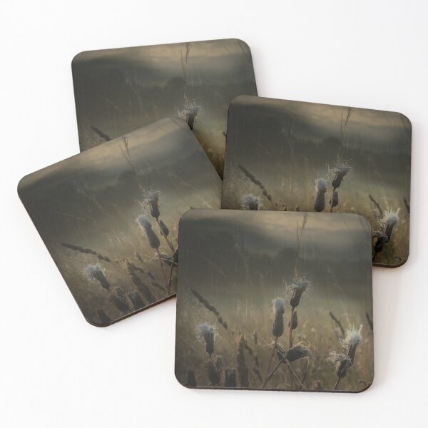Let's stand here and enjoy it Coasters (Set of 4)