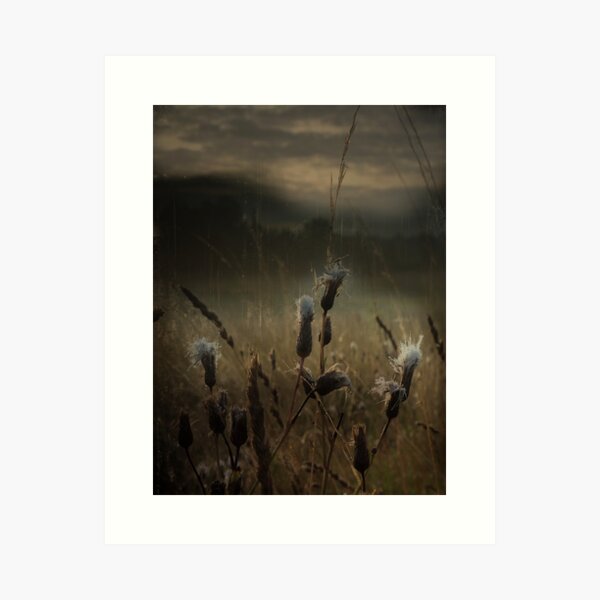 Let's stand here and enjoy it Art Print