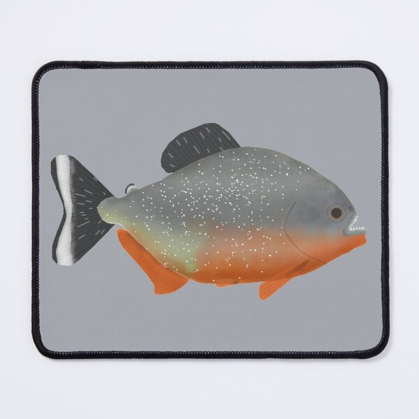 Item preview, Red Belly Piranha designed and sold by fishfolkart.