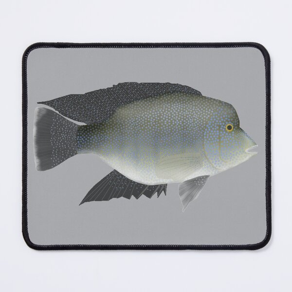 Item preview, Texas Cichlid designed and sold by fishfolkart.