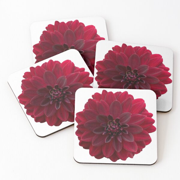 Item preview, Red Dahlia Flower Still Life Floral Photography designed and sold by CottoVerdi.