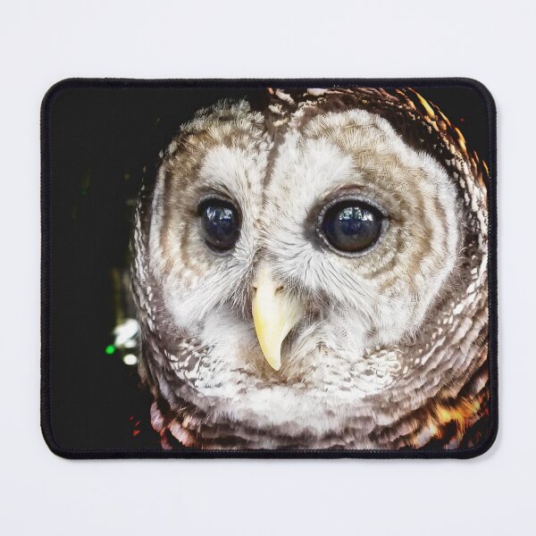 Item preview, Owl designed and sold by Dead-Moroz.