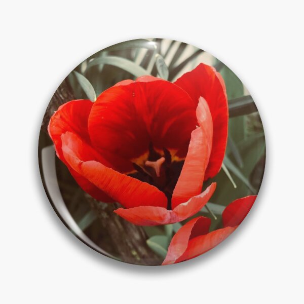 Item preview, Tulips designed and sold by RalucaRo.