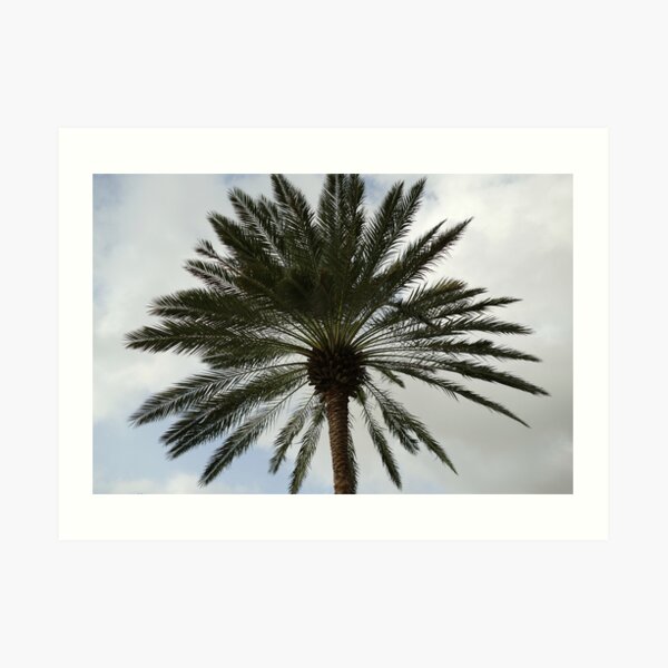 Under a Palm Tree Art Print