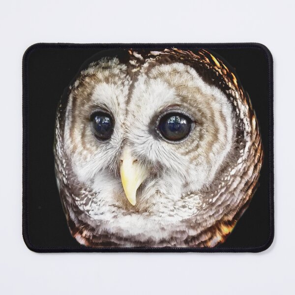 Item preview, Owl Head designed and sold by Dead-Moroz.