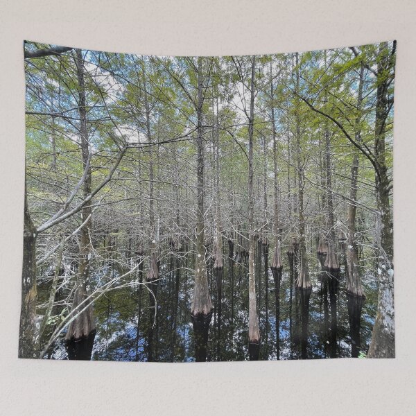 Item preview, Pond Cypress designed and sold by Lexipooh76.