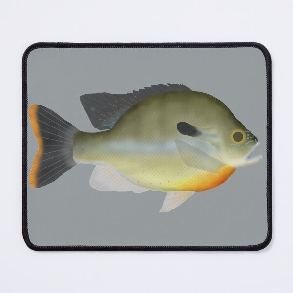 Item preview, Redbreast Sunfish designed and sold by fishfolkart.