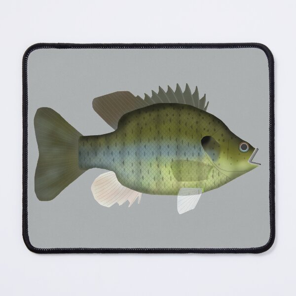 Item preview, Black Spotted Sunfish designed and sold by fishfolkart.