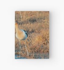 Wildlife Hardcover Journal