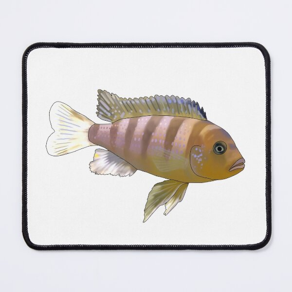 Item preview, Cichlid designed and sold by Eversonarts.