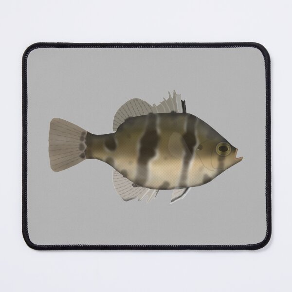 Item preview, Black Banded Sunfish designed and sold by fishfolkart.