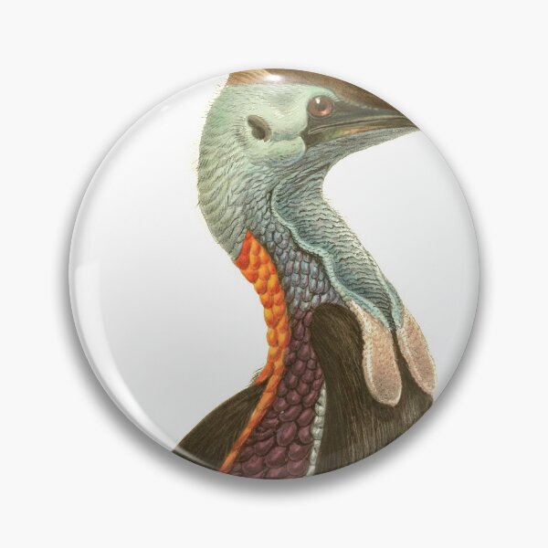Item preview, Cassowary Casuarius designed and sold by birdo-art.