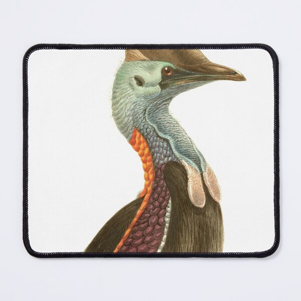 Item preview, Cassowary Casuarius designed and sold by birdo-art.