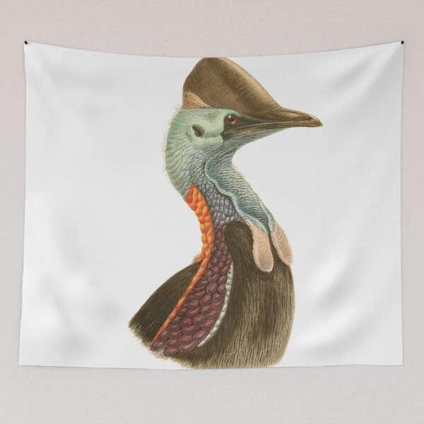 Item preview, Cassowary Casuarius designed and sold by birdo-art.
