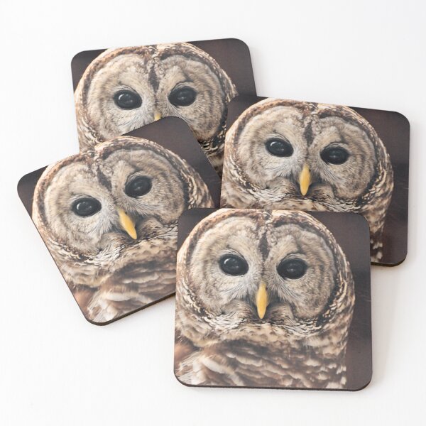 Item preview, Barred Owl ( Strix varia ) designed and sold by Jeff Ore.