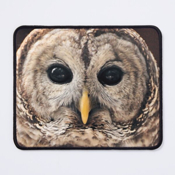 Item preview, Barred Owl ( Strix varia ) designed and sold by Jeff Ore.