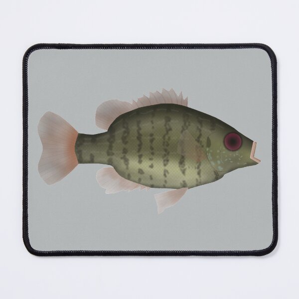 Item preview, Bantam Sunfish designed and sold by fishfolkart.