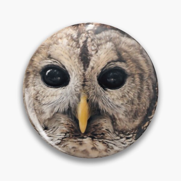 Item preview, Barred Owl ( Strix varia ) designed and sold by Jeff Ore.