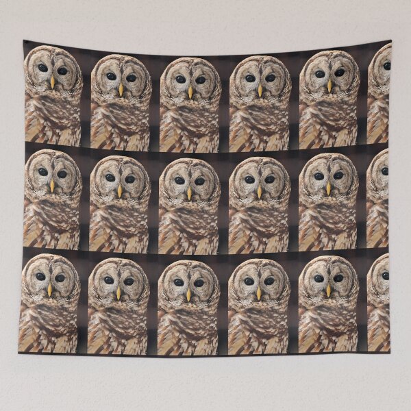 Item preview, Barred Owl ( Strix varia ) designed and sold by Jeff Ore.