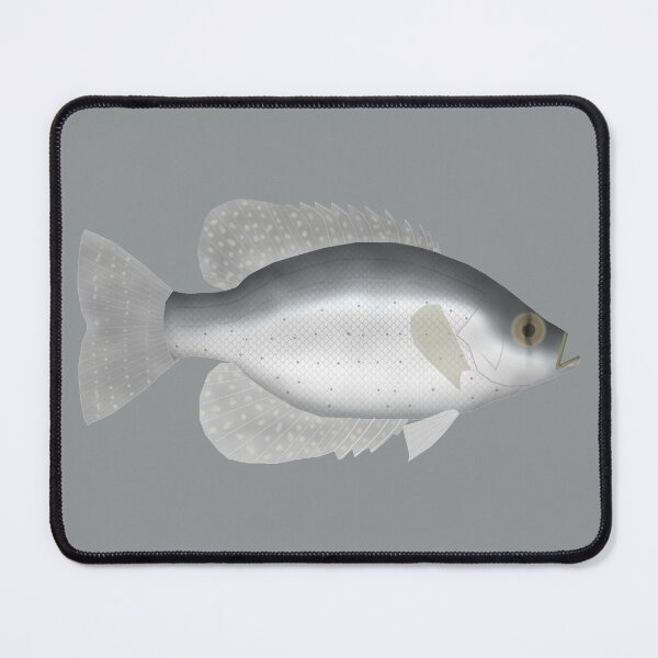 Item preview, Flier Sunfish designed and sold by fishfolkart.